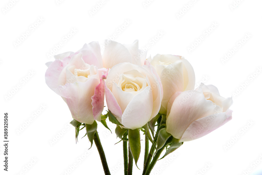 bouquet of small roses isolated