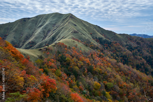 紅葉の剣山（徳島県）