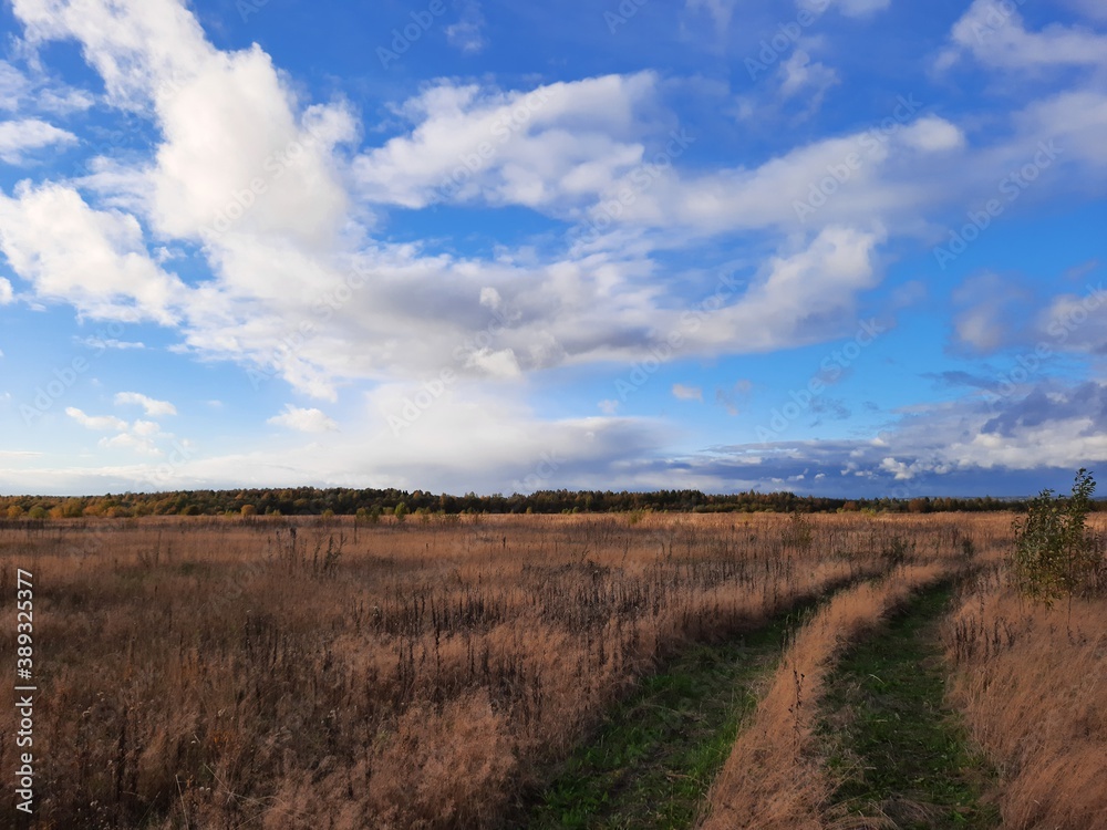 field and sky field and sky