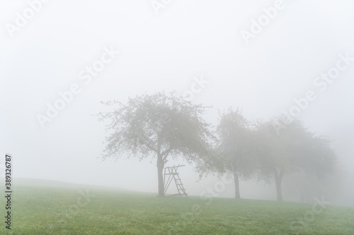 Hegau am Bodensee im Herbst und Nebel