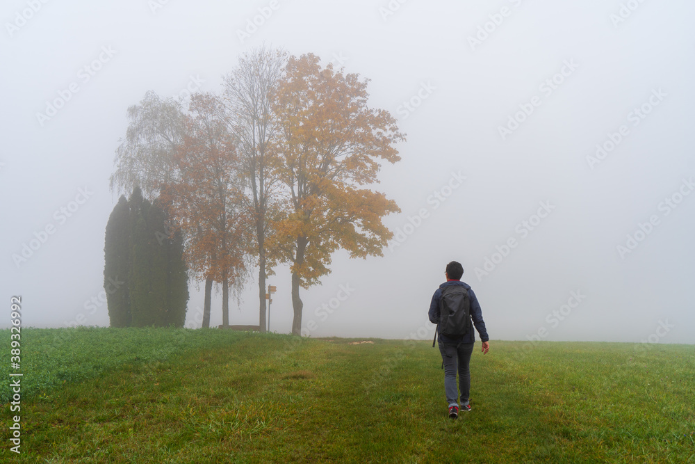 Hegau am Bodensee im Herbst und Nebel