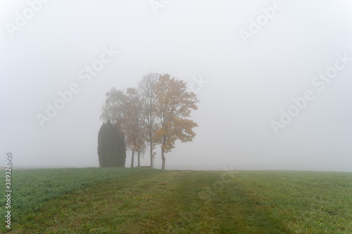 Hegau am Bodensee im Herbst und Nebel