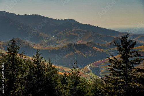 Blick vom Geigerskopfturm in Oberkirch auf die Ortenauer Weinberge photo