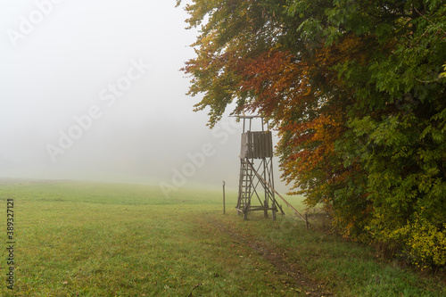 Hegau am Bodensee im Herbst und Nebel photo