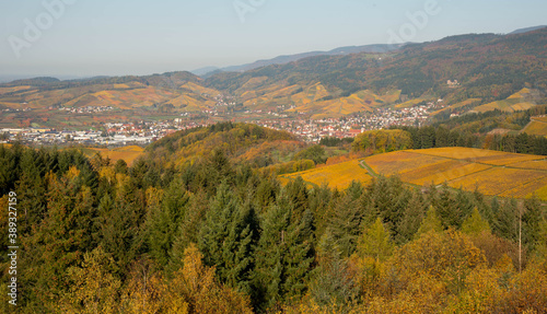 Blick vom Geigerskopfturm in Oberkirch auf die Ortenauer Weinberge