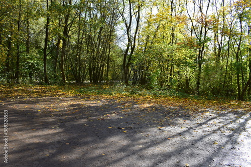 WAldparkplatz im Herbst photo