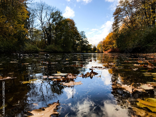 Fototapeta Naklejka Na Ścianę i Meble -  autumn trees reflected in water