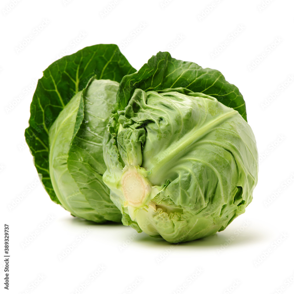 Fototapeta premium cabbage isolated on white background