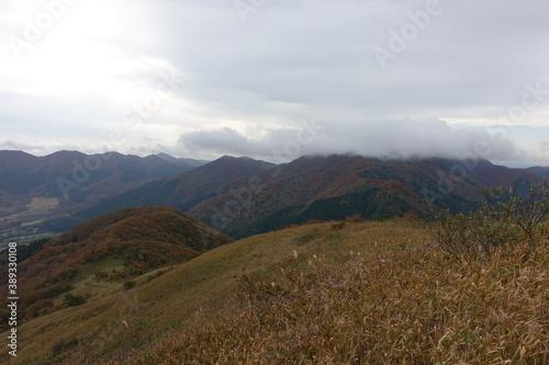 日本の岡山県の蒜山高原の美しい風景 © 仁 藤原