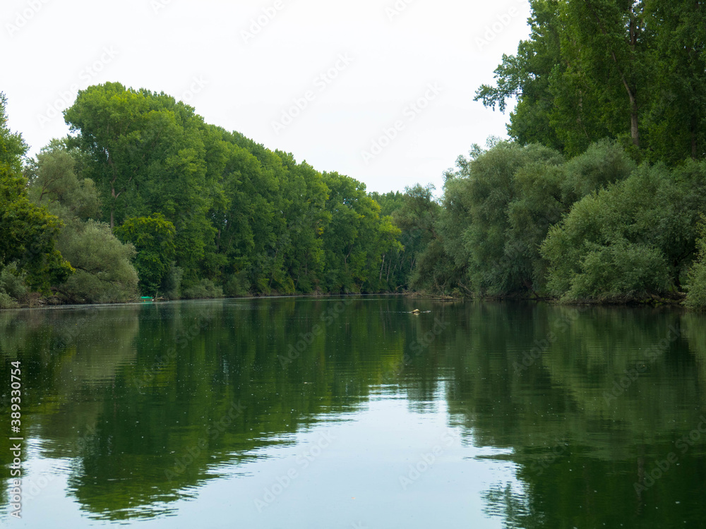 Altrheinarm mit schöner Waldlandschaft. Aus dem Naturschutzgebiet Germersheim, Deutschland