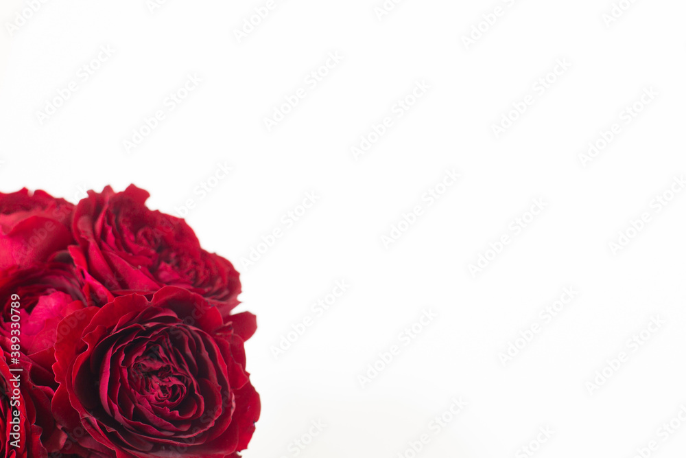 小さな赤い薔薇の花束 小さな赤い薔薇の花束