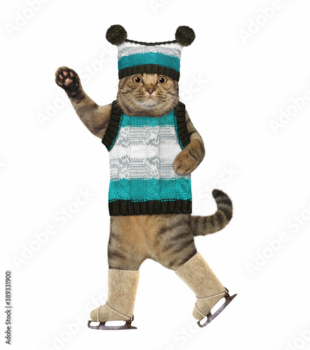 A cat dressed in a knitting hat with pompoms and a sweater is skating on ice. White background. Isolated.