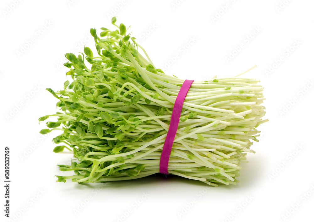 Raw Green Organic Sprouts on white background. stock photo Raw Green Organic Sprouts on white background. stock photo