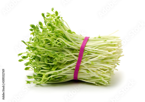 Raw Green Organic Sprouts on white background. stock photo