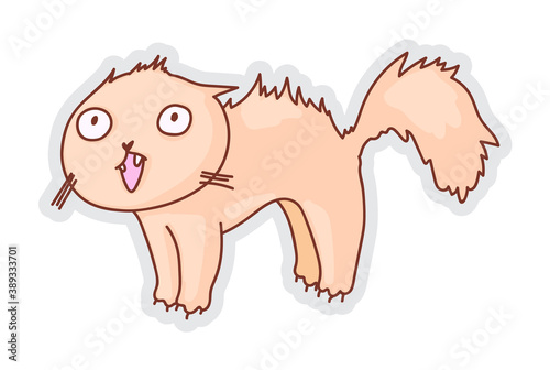 Hissing cat. Furious angry cat threatening showing teeth and hissing isolated on white background. Scared frightened feline ready for attack vector illustration
