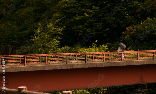 young japanese girl stands on a red bridge with an umbrella in the forest. Japan