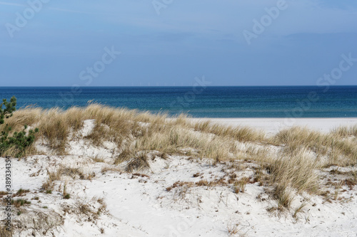 Dünen am Nordstrand im Ostseebad Prerow auf dem Darß, Fischland-Darß-Zingst, Mecklenburg Vorpommern, Deutschland