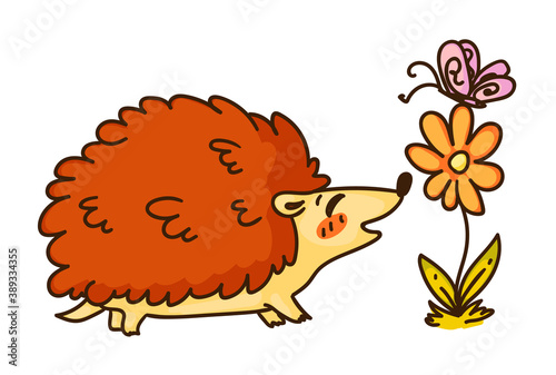 Cute hedgehog smelling flower isolated on white background