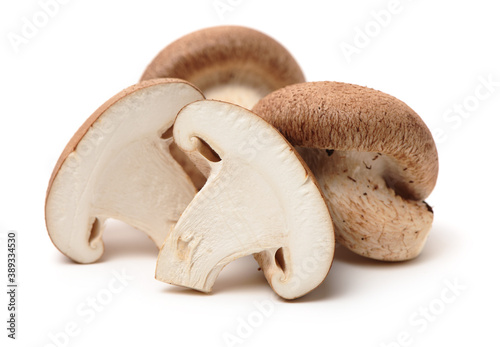  Shiitake Mushrooms Isolated on White Background stock photo