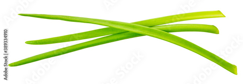 green onion with clipping path