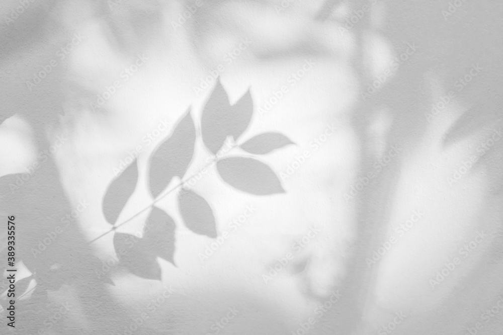 Leaf shadow and light on wall background. Nature tropical leaves tree branch and plant shade with sunlight from sunshine dappled on white wall texture for background wallpaper and design - obrazy, fototapety, plakaty 