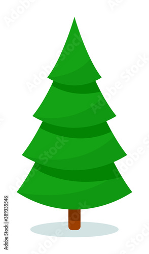 Fir tree. Evergreen plant design for wintertime and christmastime greeting vector illustration. Isolated fir, pine, or spruce tree on white background