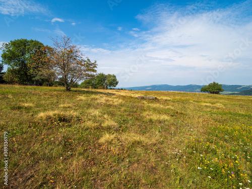 Rh  nlandschaft am Kreuzberg - der Heilige Berg der Franken - Biosph  renreservat Rh  n  Unterfranken  Franken  Bayern  Deutschland