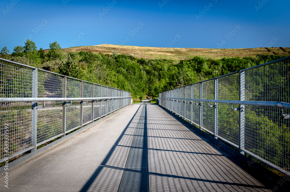 pedestrian bridge in natural landscape