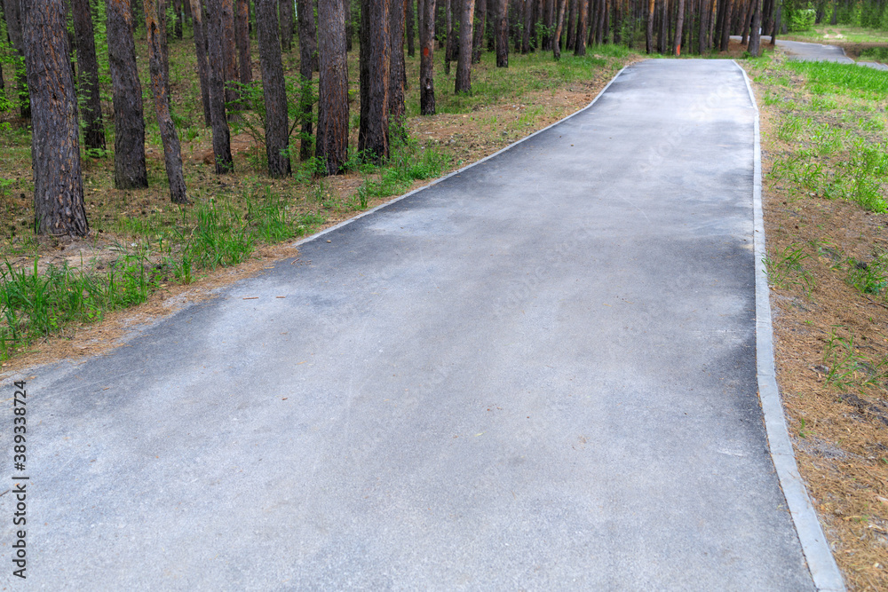 empty deserted asphalt path for walking in the park empty deserted asphalt path for walking in the park