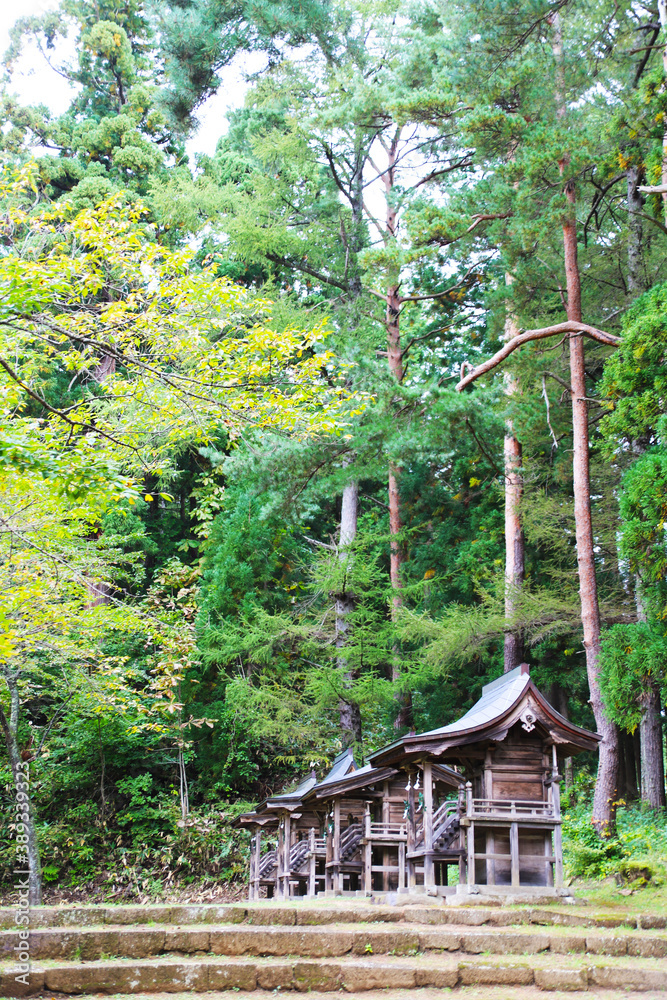 土津神社の森林と祠