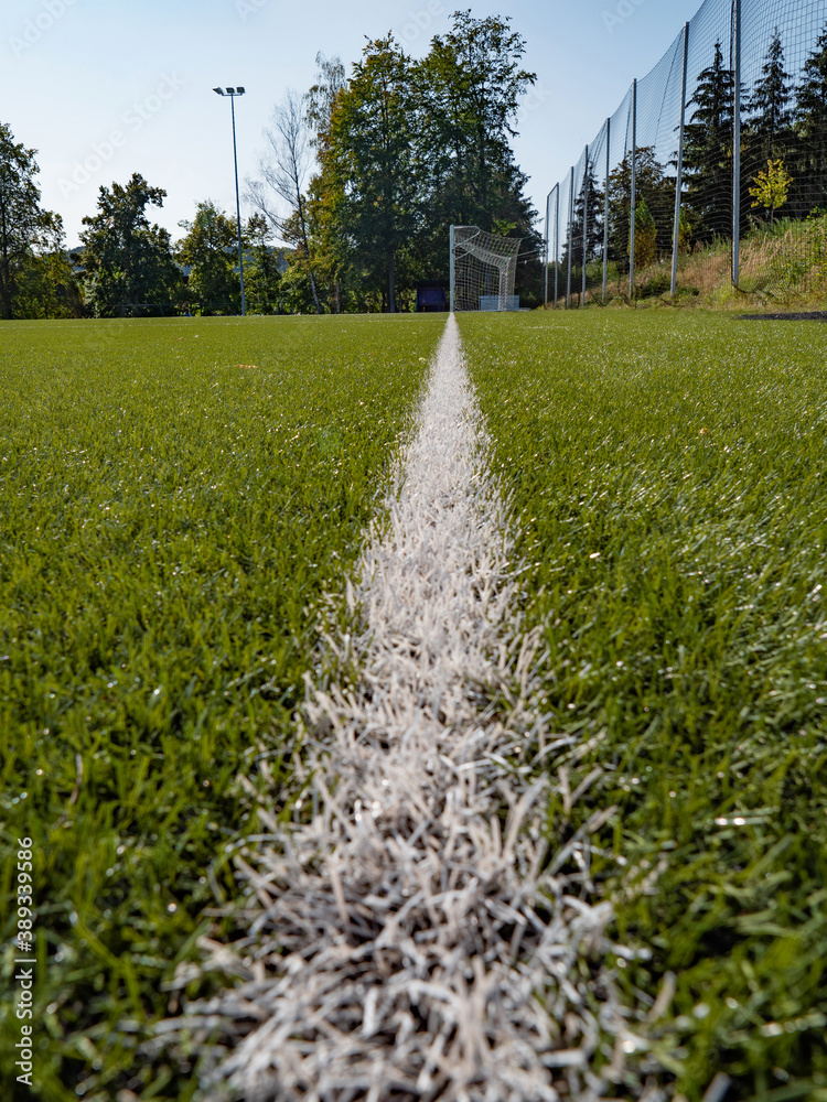 Lines on soccer football field, sport background