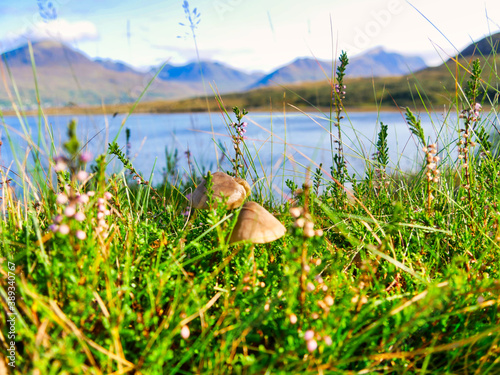 September in Schottland