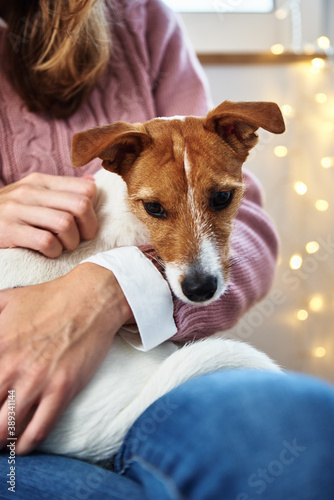 Woman with a pet dog relaxing. Pet care concept