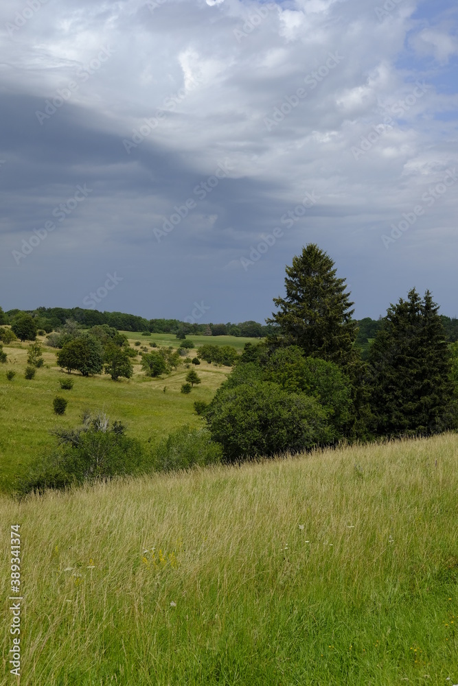 Das Naturschutzgebiet Lange Rhön in der Kernzone des Biosphärenreservat Rhön, Bayerischen Rhön, Landkreis Rhön-Grabfeld, Unterfranken, Bayern, Deutschland