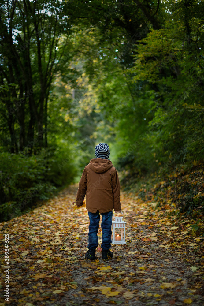 A boy stands on an autumn forest road, holds candle lantern in one hand and a bouquet of fallen leaves in the other hand. View from the back.