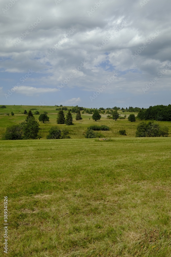 Das Naturschutzgebiet Lange Rhön in der Kernzone des Biosphärenreservat Rhön, Bayerischen Rhön, Landkreis Rhön-Grabfeld, Unterfranken, Bayern, Deutschland Das Naturschutzgebiet Lange Rhön in der Kernzone des Biosphärenreservat Rhön, Bayerischen Rhön, Landkreis Rhön-Grabfeld, Unterfranken, Bayern, Deutschland