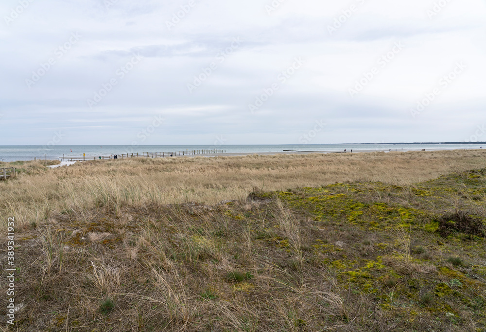Nordstrand im Ostseebad Prerow auf dem Darß, Fischland-Darß-Zingst, Mecklenburg Vorpommern, Deutschland Nordstrand im Ostseebad Prerow auf dem Darß, Fischland-Darß-Zingst, Mecklenburg Vorpommern, Deutschland