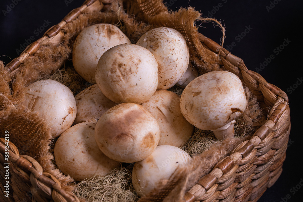 button mushroom on hyacinth box and black background