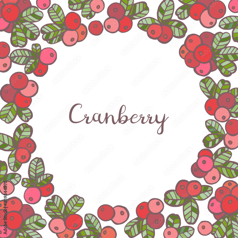 Round frame with Cranberry, berries, leaves. Graphic hand drawn flat style. Doodle illustration for packaging, menu cards, posters, prints. Isolated over white background.