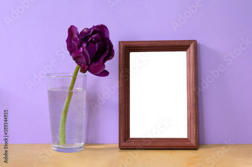 Wooden frame with copy space and violet tulip flower in vase on purple background. Botanical mock up