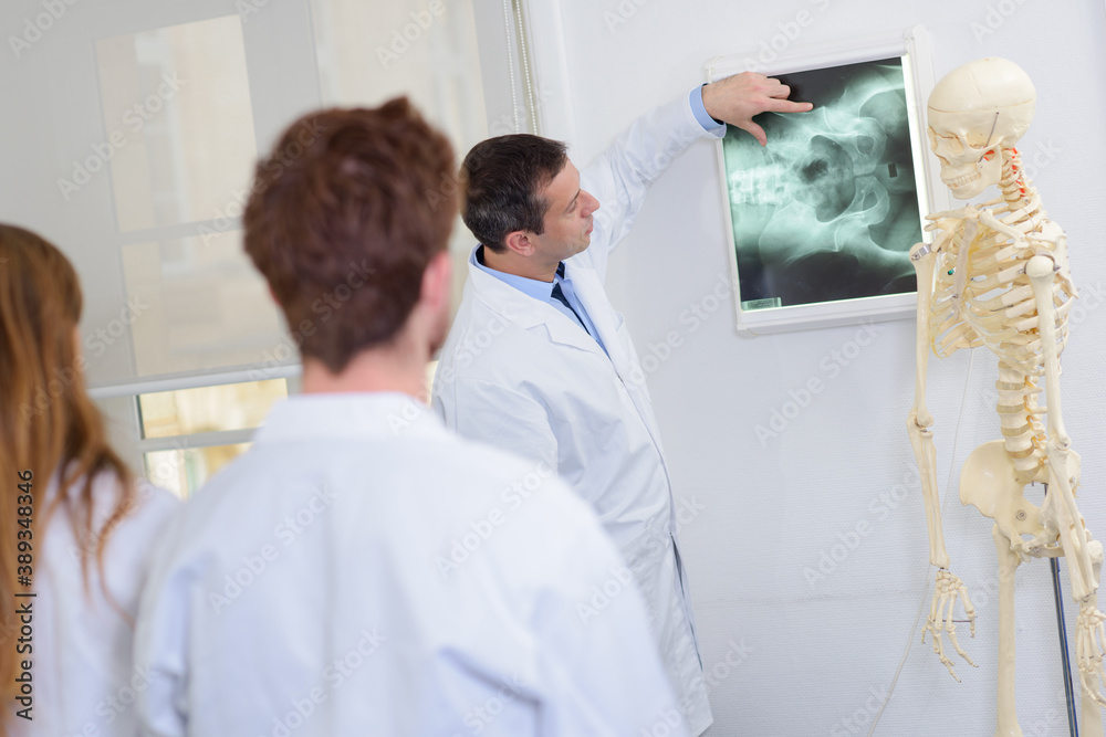 Fototapeta premium a male teacher give a lesson - xray