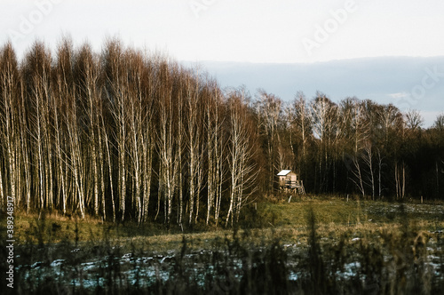 Drewniana ambona czatownia na skraju lasu w jesiennej scenerii