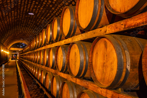 Oak barrels in wine cellars, Changli County, Hebei Province, China photo