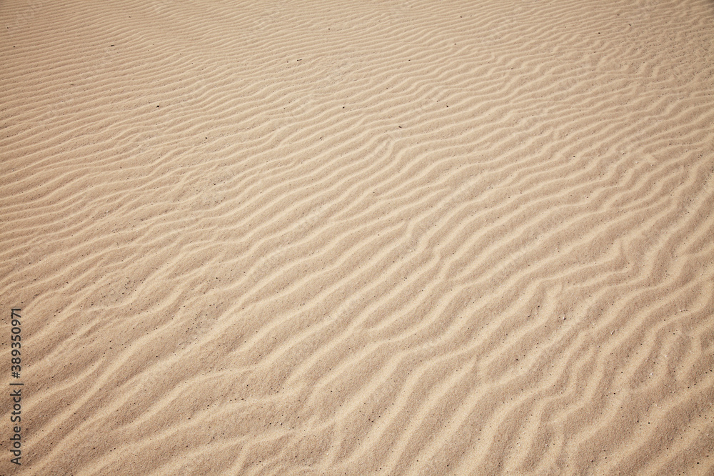 Fuerteventura, Canary Islands, nature park Dunes of Corralejo at the north of the island Fuerteventura, Canary Islands, nature park Dunes of Corralejo at the north of the island