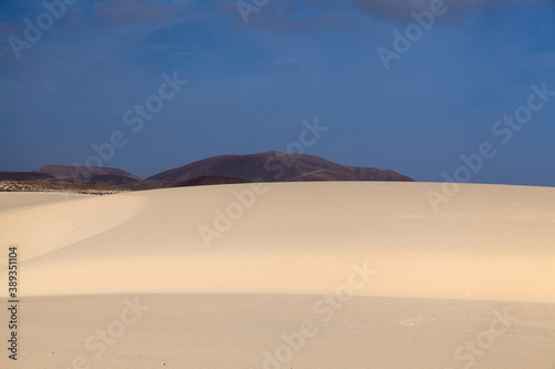 Fuerteventura  Canary Islands  nature park Dunes of Corralejo at the north of the island