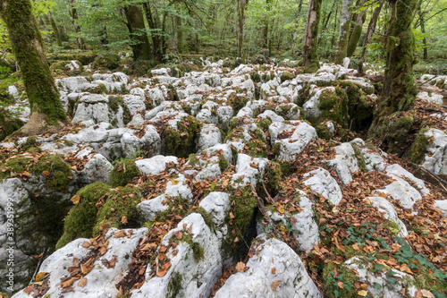 The karstic trail of Malrochers from Jura, France photo