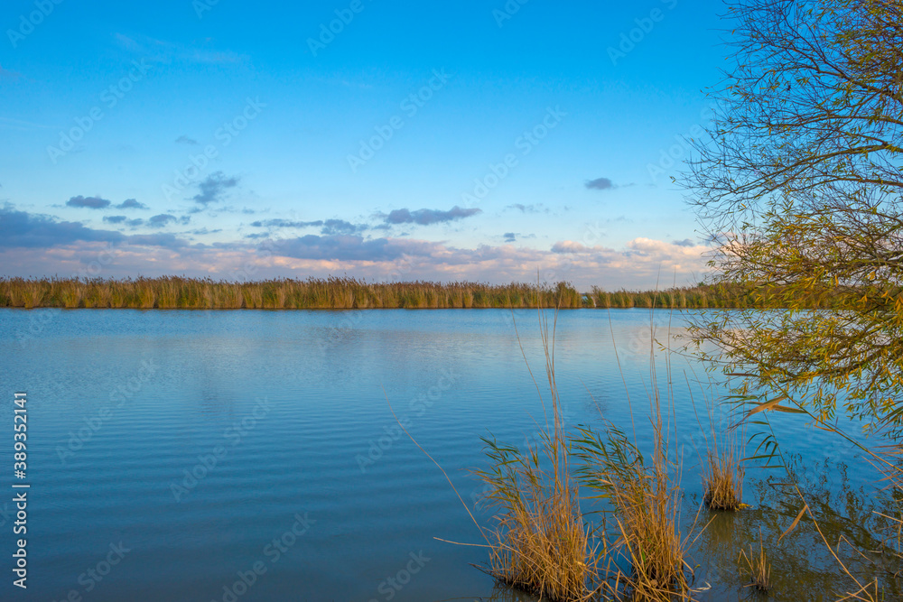 The edge of a lake in autumn colors under a blue cloudy sky at fall, Almere, Flevoland, The Netherlands, October 31, 2020