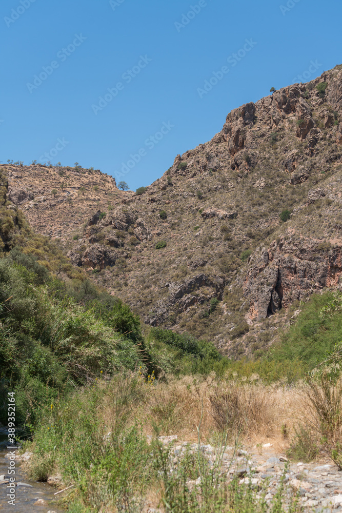 Mountain goat on the side of a mountain