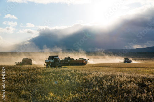 The harvesting machine is working on the field. Combine harvester agricultural machine for harvesting Golden ripe wheat in the field. Agriculture, farming © Асель Иржанова