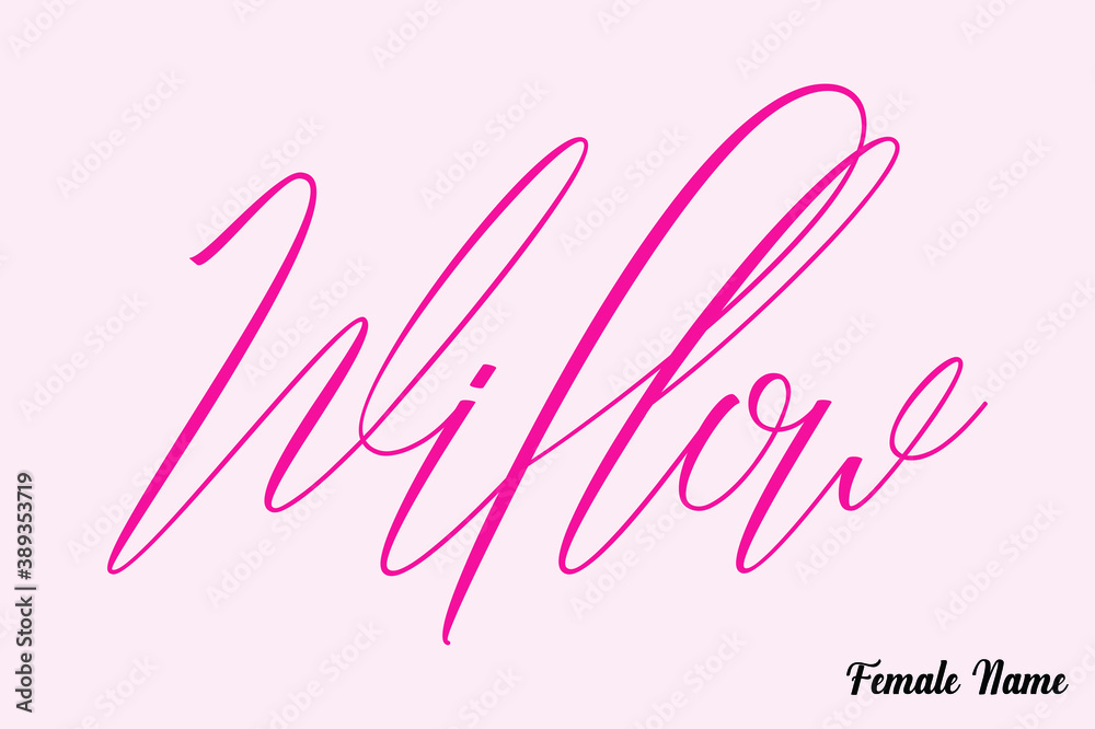 Willow-Female Name Calligraphy Cursive Dork Pink Color Text on Light Pink Background